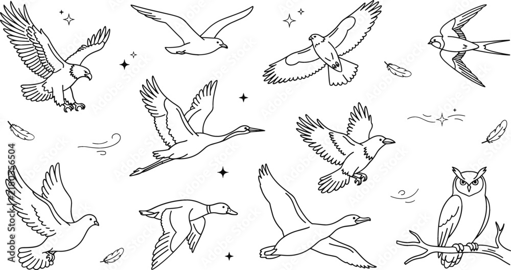 Fototapeta premium Vector set of flying wild birds including eagle hawk crane swallow owl pigeon duck and seagull in line art