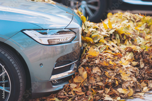 Colorful autumn leaves blanket a sleek car parked near a cozy neighborhood street in the heart of fall