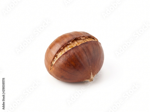 Single Roasted Japanese Chestnut Nut Isolated on White Background