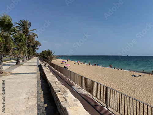 Bild auf Leinwand Palm-lined promenade along Platja de Can Pere Antoni, in Palma, on the island of Mallorca, Balearic Islands, Spain, with a stone wall and metal railing beside the sandy beach