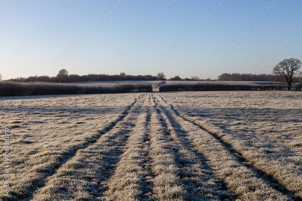 Obraz premium Tracks across a frozen field in Dorset, England on a cold and sunny winter morning