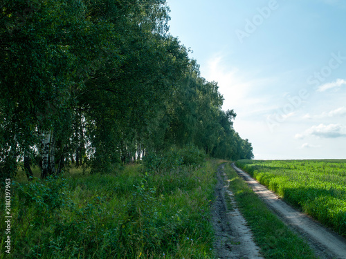 Obraz na płótnie A dirt road near a field on a clear day