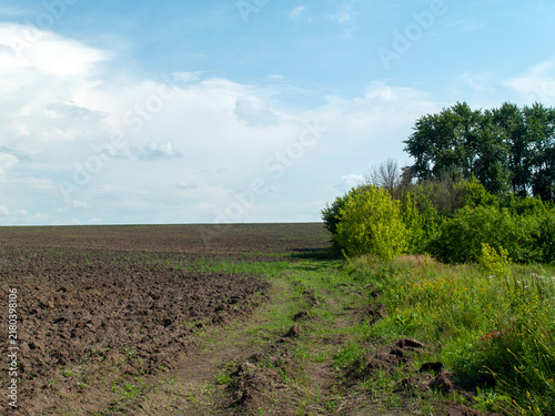 Obraz na plátně A dirt road near a field on a clear day