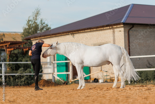 White horse walking in paddock