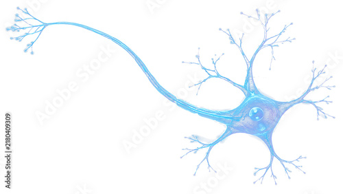 Foto Human neuron cell structure