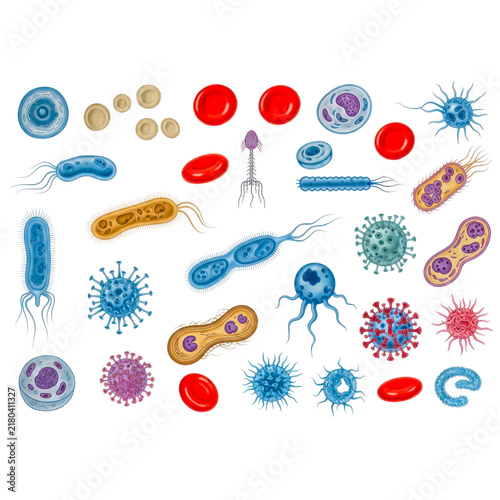 Colorful scientific illustration of blood cells and bacteria isolated on white background