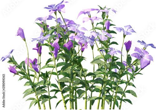 Plants PNG, Bushes PNG, Shrubs PNG, Greenery PNG, Tropical Plants, Garden Plants, Landscape Plants, Ornamental Plants, Decorative Plants, Outdoor Plants, Indoor Plants, Foliage PNG, Leafy Plants