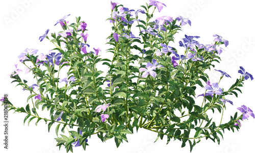 Plants PNG, Bushes PNG, Shrubs PNG, Greenery PNG, Tropical Plants, Garden Plants, Landscape Plants, Ornamental Plants, Decorative Plants, Outdoor Plants, Indoor Plants, Foliage PNG, Leafy Plants