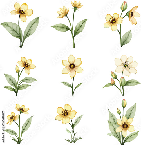 Delicate watercolor illustrations of yellow flowers with green leaves and slender stems.
