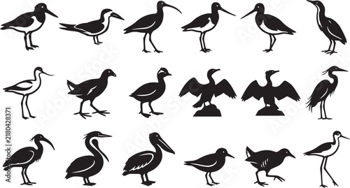 Wild Coastal Birds Silhouette Icon Collection Set