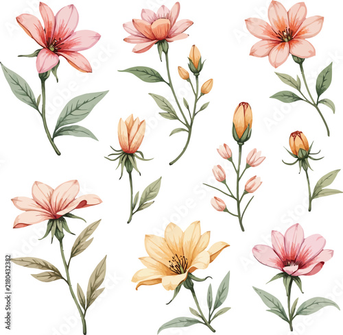 Delicate watercolor floral collage featuring pink, peach, and coral blossoms.