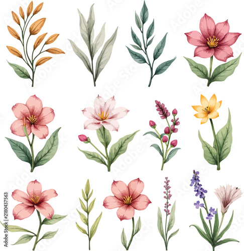 Watercolor Botanical Flower Collection with Varied Leaves and Soft Pastels.