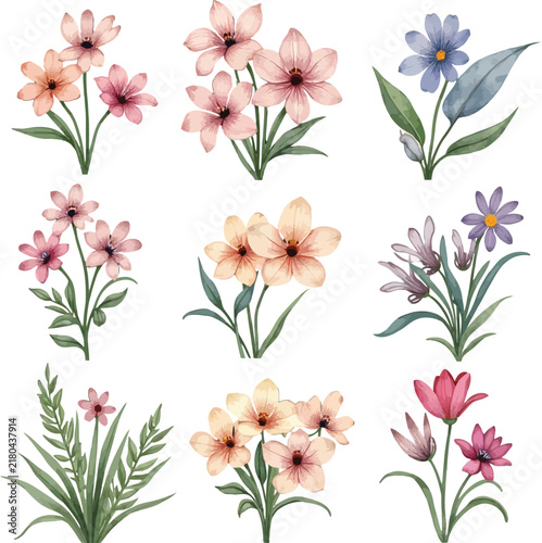 Collection of watercolor flowers in pastel tones arranged in a decorative botanical composition.