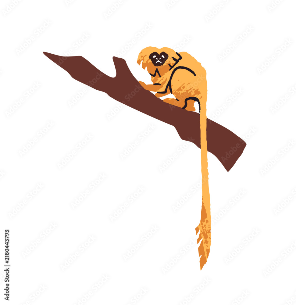 Fototapeta premium Cute little monkey sits on a branch and relaxes. Funny Golden Lion tamarin has a rest on a tropical tree. Marmoset of jungle. Rainforest animal. Flat isolated vector illustration on white background