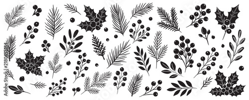 Linocut Christmas winter plants vector set with hand carved woodblock pine sprigs holly leaves and berry twigs isolated on white background for vintage holiday greeting card decor