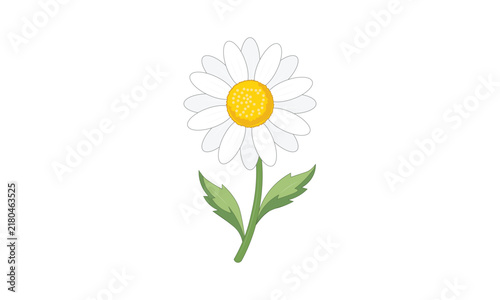Illustrated Chamomile Daisy Flower with Green Stem and Leaves Vector, Botanical Floral Graphic, Single White Daisy Flower Illustration, Chamomile Herbal Plant Graphic