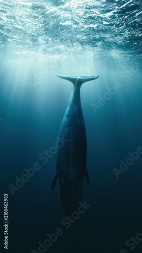Underwater view of a sperm whale diving deep into the blue ocean with sun rays illuminating the water
