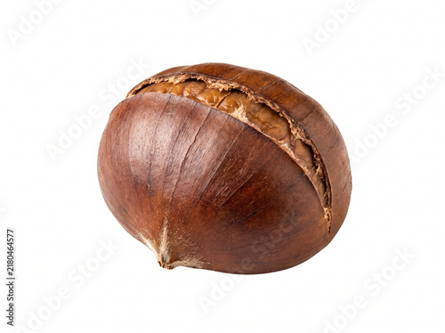 Single Roasted Japanese Chestnut Nut Isolated on White Background