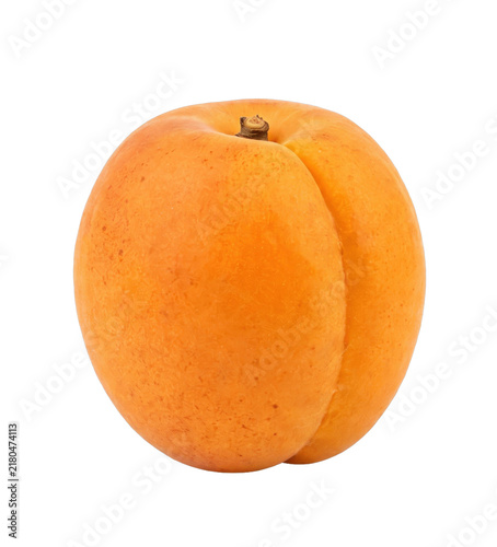 Single ripe apricot with a soft fuzzy skin and a distinct cleft on the side