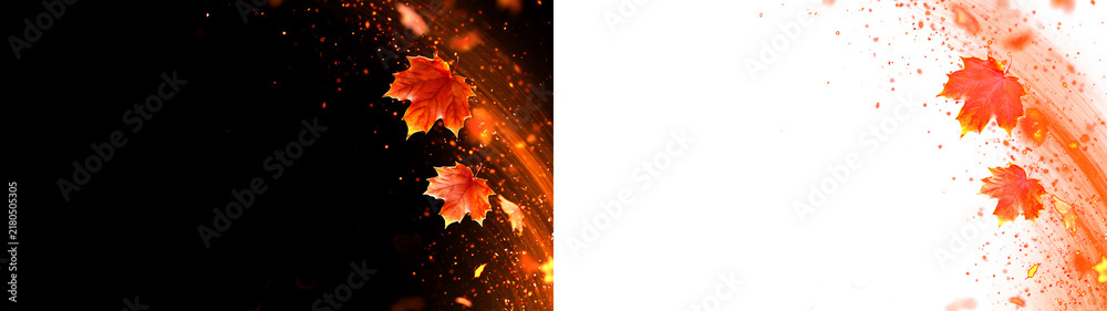 Obraz premium Curved autumn trail with glowing sparks isolated PNG effect. Red and orange falling foliage overlay on black and transparent background. Dynamic seasonal element