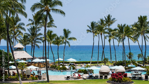 Tropical Resort Swimming Pool Lined with Palm Trees, Hawaii