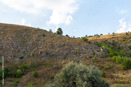 Картината върху платно A rocky hill with plants