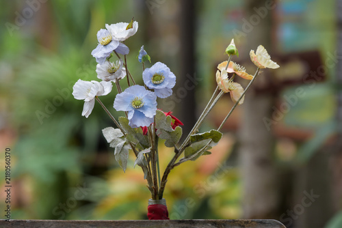 spring flowers in the garden
