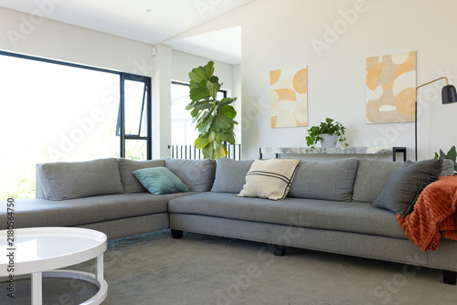 Grey L-shaped sectional sofa is anchoring modern living room with teal cushion, rust throw