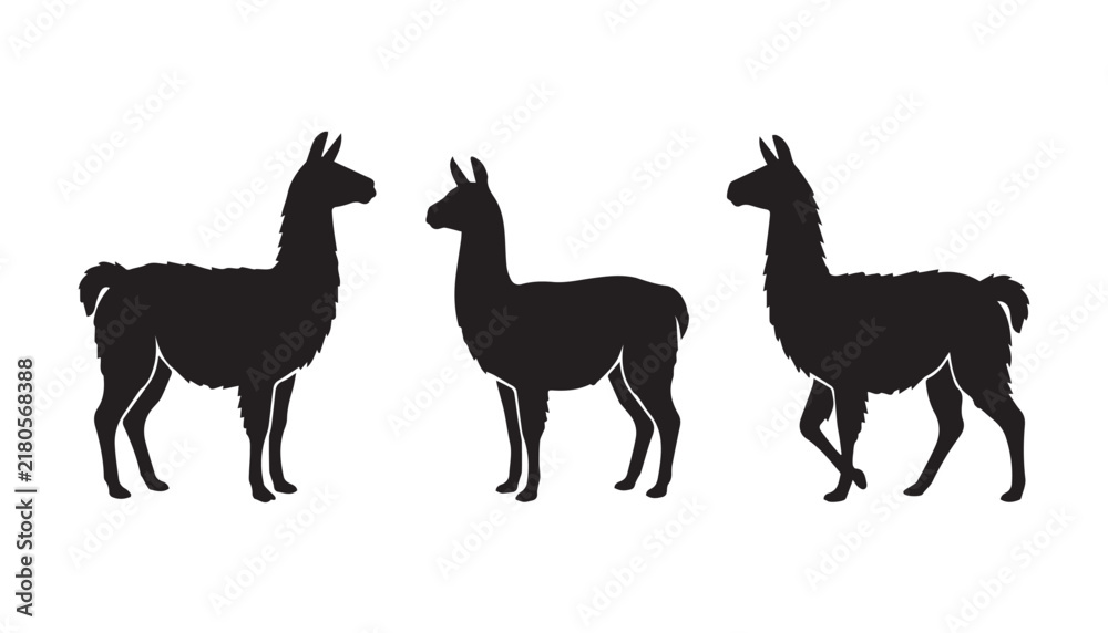 Obraz premium black color silhouette set of three llama vector illustration, solid white background
