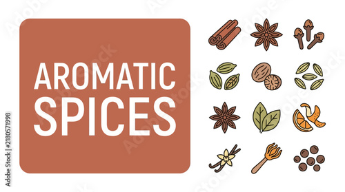 Selection of various dried culinary ingredients including cinnamon sticks and star anise for food flavorings and design concepts