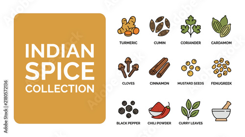 Vibrant collection of essential aromatic Indian spices and herbs presented as clean, minimalist icons for diverse culinary uses