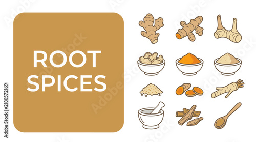 Collection of diverse culinary herb and spice icons featuring ginger turmeric galangal and ground aromatic powders for cooking and wellness recipes