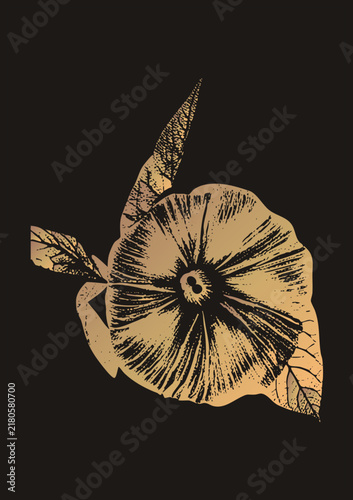 Bild auf Leinwand High contrast engraving of a trumpet with jagged foliage