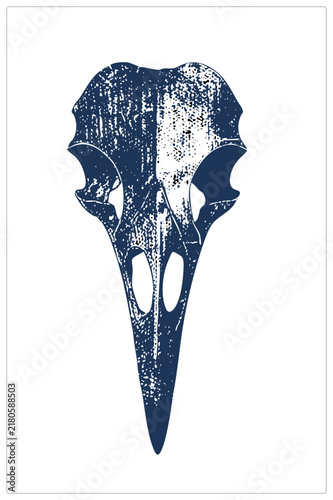 Bild auf Leinwand Navy blue bird skull with gritty, stencil like texture