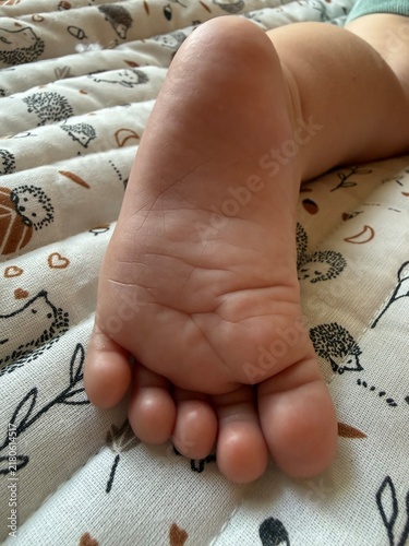 Pied de bébé sur un tissu moelleux à motif hérisson, symbole de douceur et de tendresse
