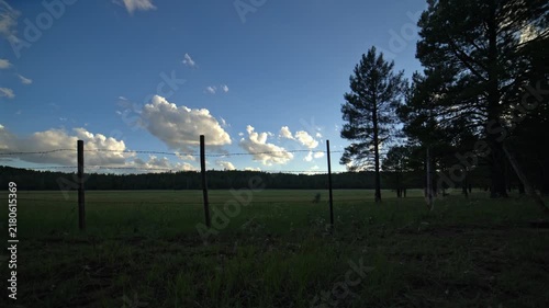 Tracking time lapse of afternoon clouds above a forest meadow