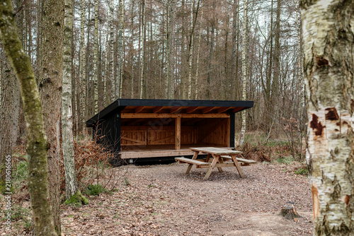 Cuadro en lienzo A modern wooden shelter and picnic table in a dense forest, providing a quiet an