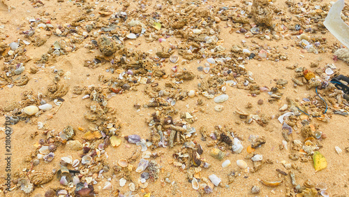 Konstfotografi Aerial close-up of a sandy beach covered with seashells, coral fragments, natural debris, and scattered plastic waste, highlighting coastal texture and marine pollution
