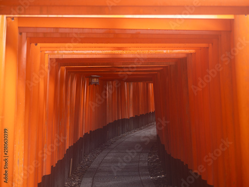 伏見稲荷大社の千本鳥居が連なる参道の風景