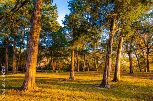 Cadron Settlement State Park. Conway AR