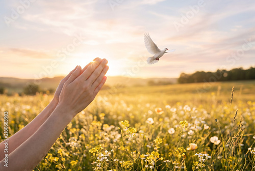 Obraz w ramie 비둘기와 기도하는 손 · Praying Hands with a Dove