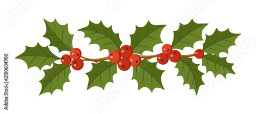 Magnificent hand drawn Christmas holly berry border vector. Delightful flat style horizontal divider branch isolated on transparent background. Perfect for holiday greeting cards and page decor.