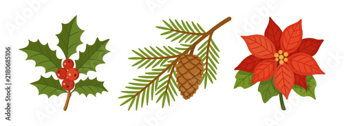 Splendid hand drawn Christmas floral vector elements set. Lovely flat style red poinsettia holly berry and fir branch isolated on transparent background. Great for holiday greeting cards and DIY.