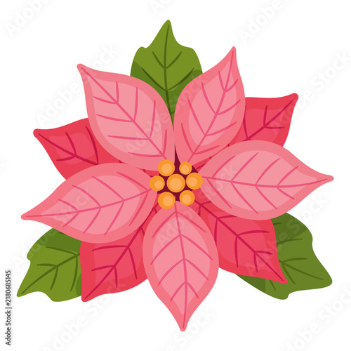 Lovely hand drawn pink poinsettia flower vector element. Charming flat style pastel winter holiday blossom isolated on transparent background. Great for modern elegant greeting cards and design.