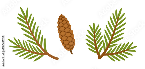 Splendid hand drawn Christmas fir branch and pine cone vector set. Wonderful flat style evergreen spruce elements isolated on transparent background. Great for winter holiday card DIY, craft, stikers