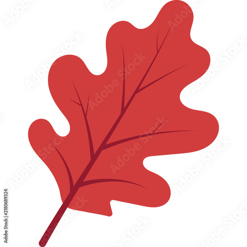 Red autumn oak leaf illustration