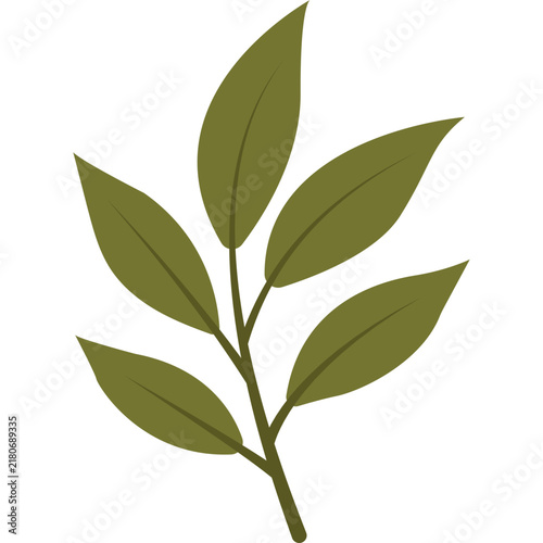 Minimalist olive leaf branch vector