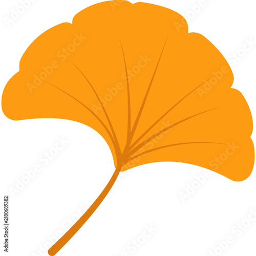 Orange Ginkgo Biloba Leaf Vector