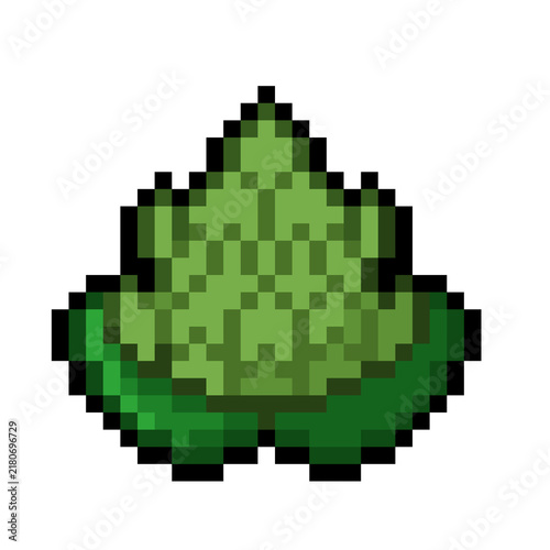 Green Romanesco Broccoli Retro 8-Bit Pixel Art Icon Isolated