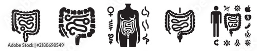 human body vector